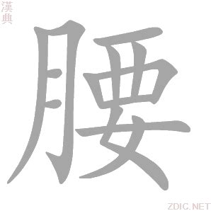 腰的造詞|腰字的意思